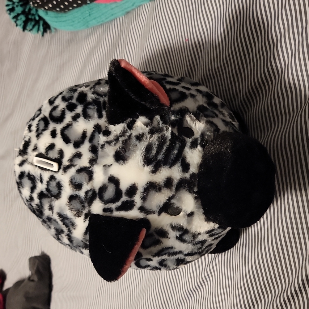 Pig piggy bank